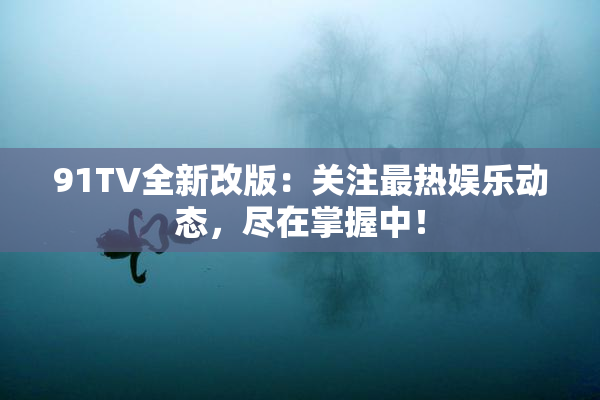 91TV全新改版：关注最热娱乐动态，尽在掌握中！