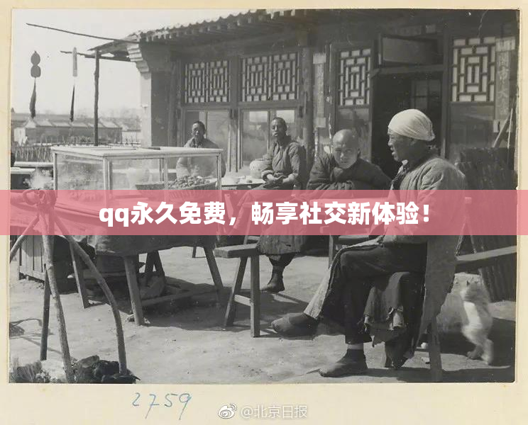 qq永久免费，畅享社交新体验！