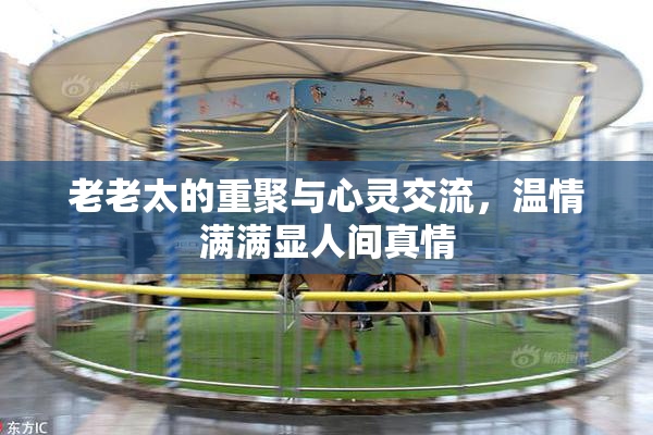 老老太的重聚与心灵交流，温情满满显人间真情