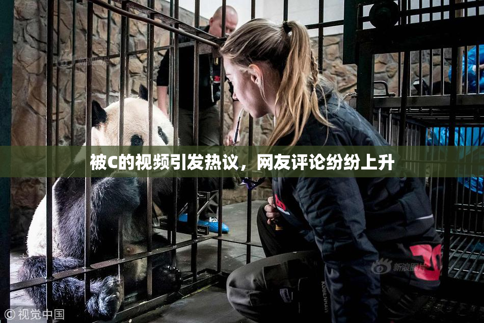 被C的视频引发热议，网友评论纷纷上升