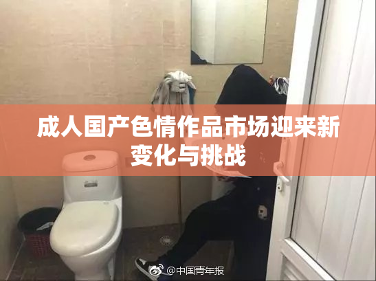 成人国产色情作品市场迎来新变化与挑战