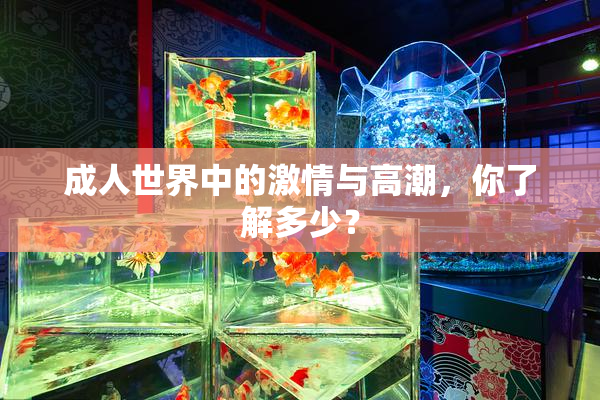 成人世界中的激情与高潮，你了解多少？