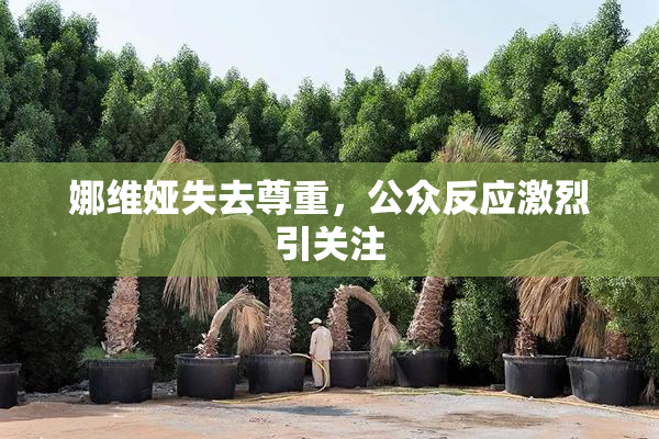 娜维娅失去尊重，公众反应激烈引关注