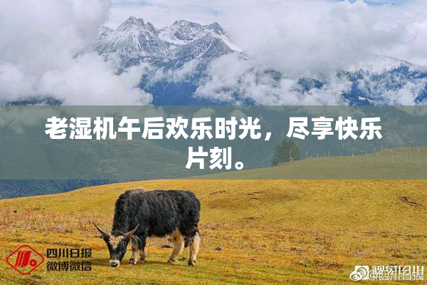老湿机午后欢乐时光，尽享快乐片刻。