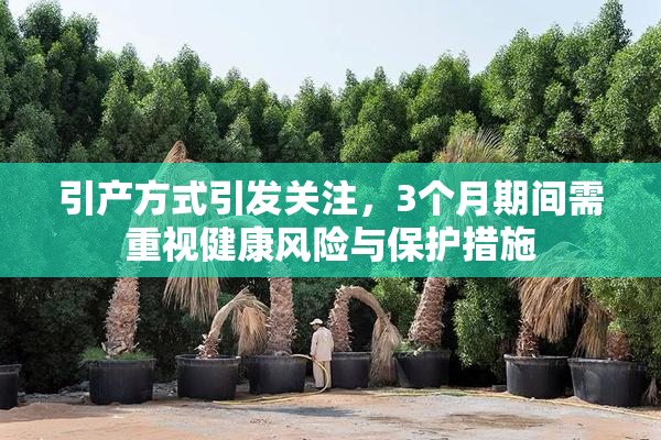 引产方式引发关注，3个月期间需重视健康风险与保护措施