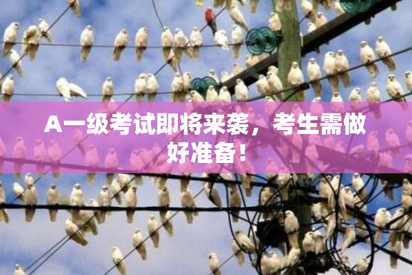 A一级考试即将来袭，考生需做好准备！