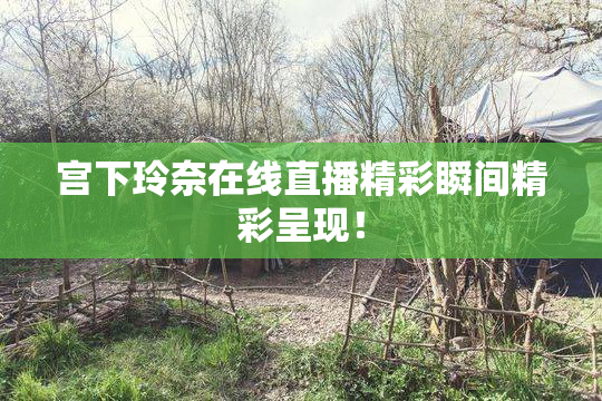 宫下玲奈在线直播精彩瞬间精彩呈现！