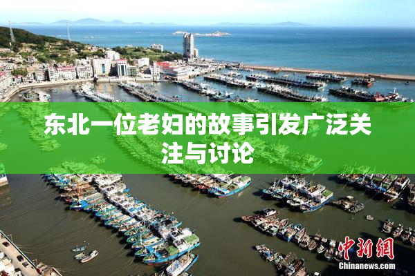 东北一位老妇的故事引发广泛关注与讨论