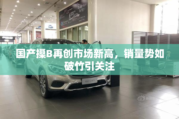 国产搡B再创市场新高，销量势如破竹引关注