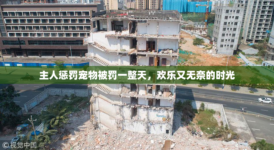 主人惩罚宠物被罚一整天，欢乐又无奈的时光