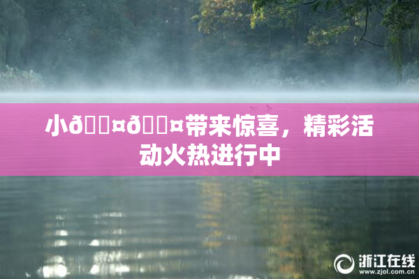 小🐤🐤带来惊喜，精彩活动火热进行中