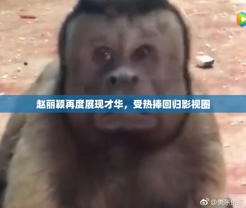 赵丽颖再度展现才华，受热捧回归影视圈