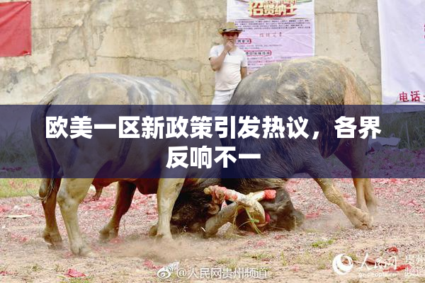 欧美一区新政策引发热议，各界反响不一