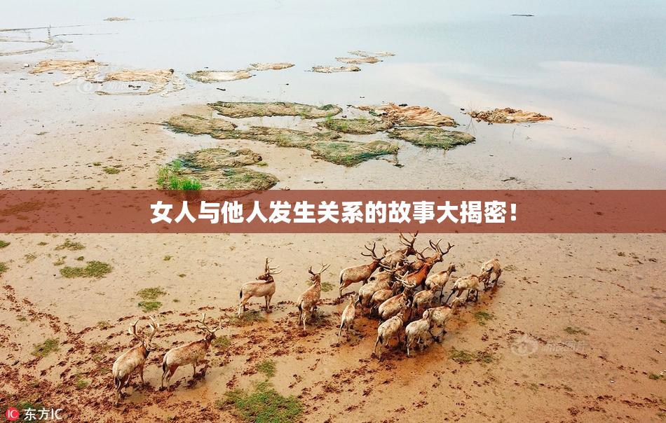 女人与他人发生关系的故事大揭密！