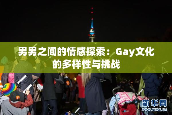 男男之间的情感探索：Gay文化的多样性与挑战