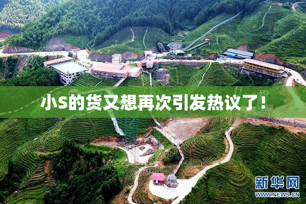小S的货又想再次引发热议了！