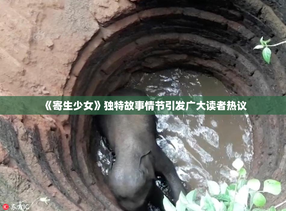 《寄生少女》独特故事情节引发广大读者热议