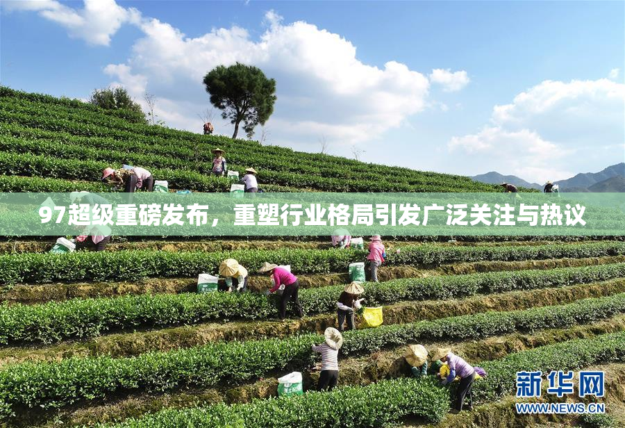 97超级重磅发布，重塑行业格局引发广泛关注与热议