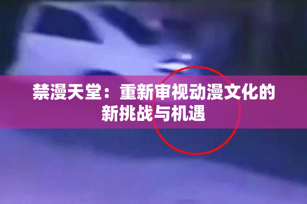 禁漫天堂：重新审视动漫文化的新挑战与机遇