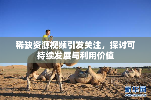 稀缺资源视频引发关注，探讨可持续发展与利用价值