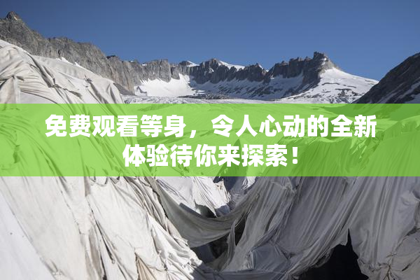 免费观看等身，令人心动的全新体验待你来探索！