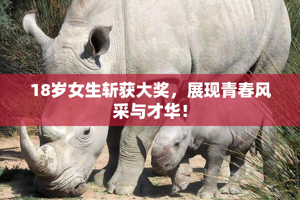 18岁女生斩获大奖，展现青春风采与才华！