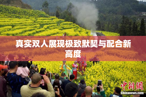 真实双人展现极致默契与配合新高度