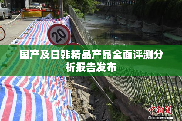 国产及日韩精品产品全面评测分析报告发布