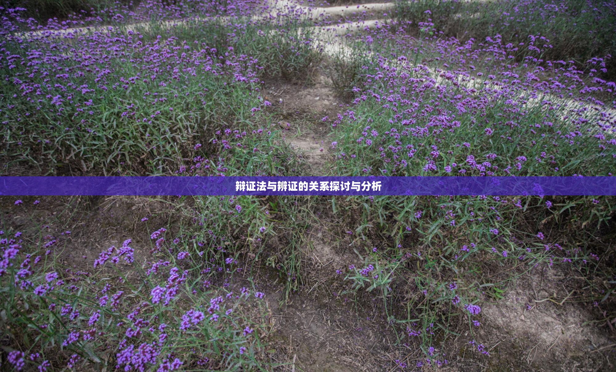 辩证法与辨证的关系探讨与分析