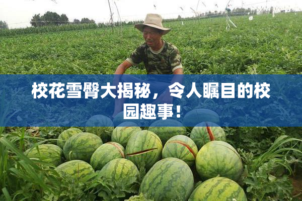 校花雪臀大揭秘，令人瞩目的校园趣事！
