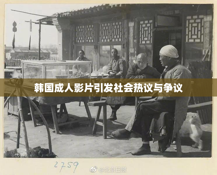 韩国成人影片引发社会热议与争议