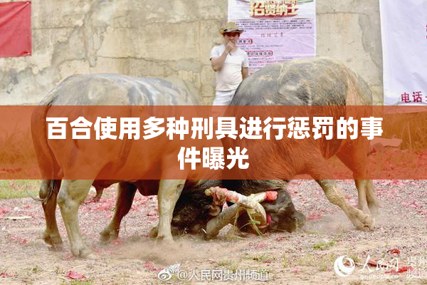 百合使用多种刑具进行惩罚的事件曝光