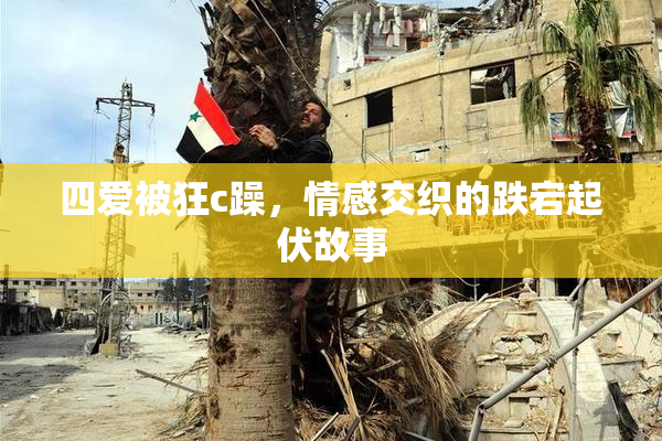 四爱被狂c躁，情感交织的跌宕起伏故事