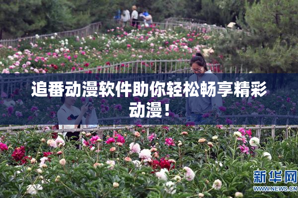 追番动漫软件助你轻松畅享精彩动漫！