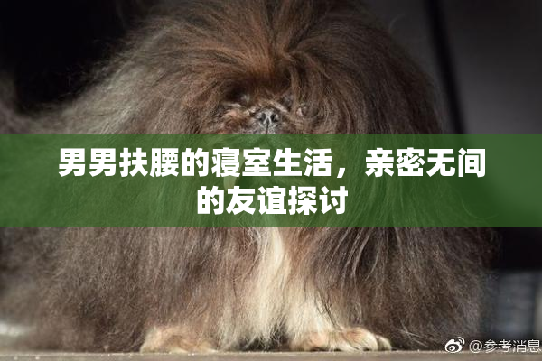 男男扶腰的寝室生活，亲密无间的友谊探讨