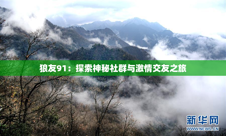 狼友91：探索神秘社群与激情交友之旅