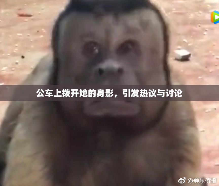 公车上拨开她的身影，引发热议与讨论