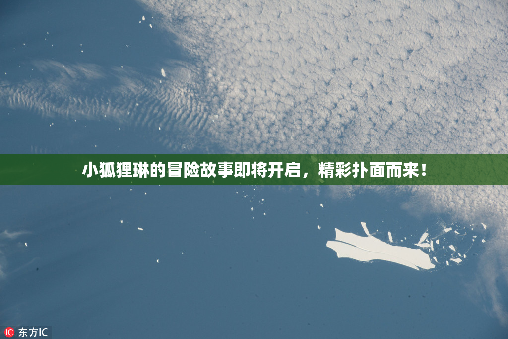 小狐狸琳的冒险故事即将开启，精彩扑面而来！