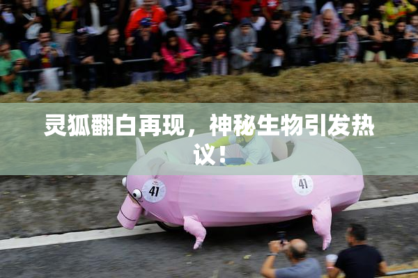 灵狐翻白再现，神秘生物引发热议！