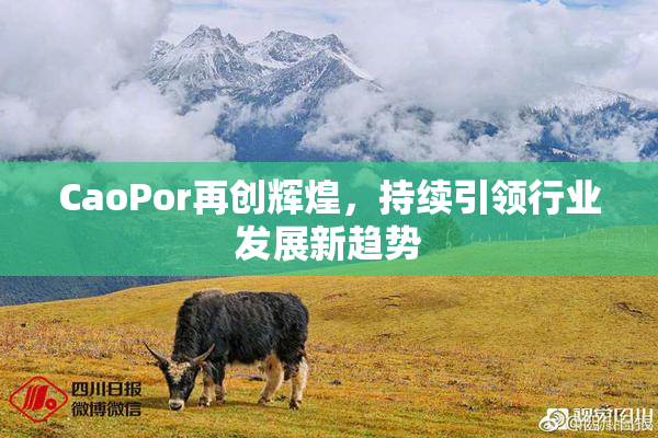 CaoPor再创辉煌，持续引领行业发展新趋势