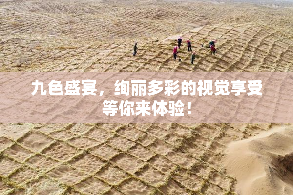 九色盛宴，绚丽多彩的视觉享受等你来体验！
