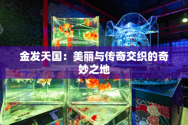 金发天国：美丽与传奇交织的奇妙之地