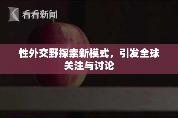 性外交野探索新模式，引发全球关注与讨论