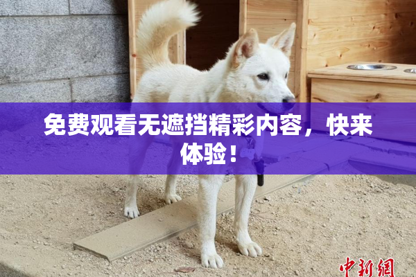 免费观看无遮挡精彩内容，快来体验！