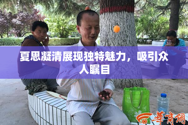 夏思凝清展现独特魅力，吸引众人瞩目
