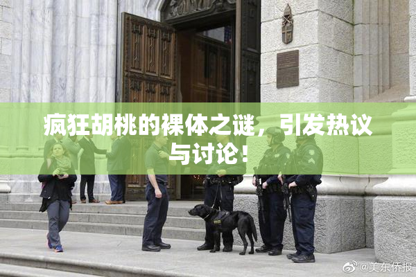 疯狂胡桃的裸体之谜，引发热议与讨论！