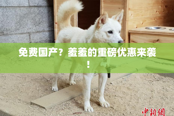 免费国产？羞羞的重磅优惠来袭！