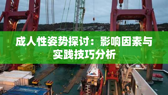 成人性姿势探讨：影响因素与实践技巧分析