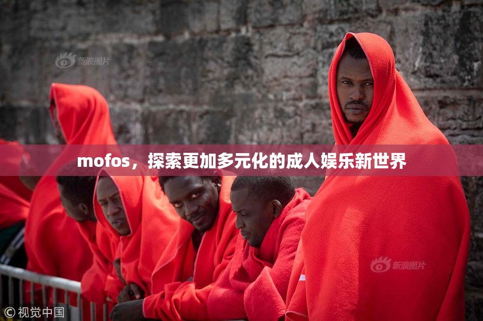 mofos，探索更加多元化的成人娱乐新世界