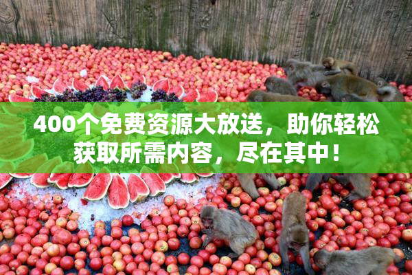 400个免费资源大放送，助你轻松获取所需内容，尽在其中！